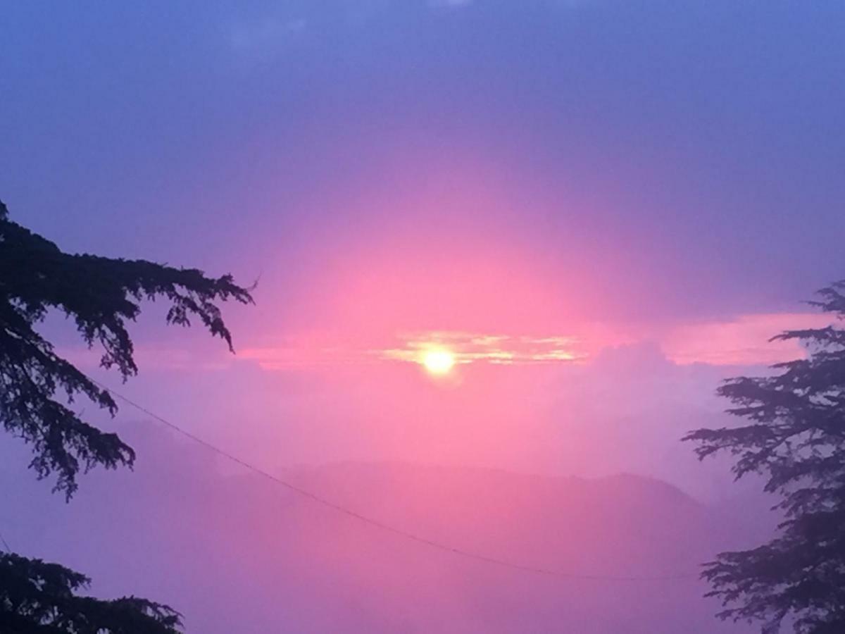 Simla View B&B 외부 사진